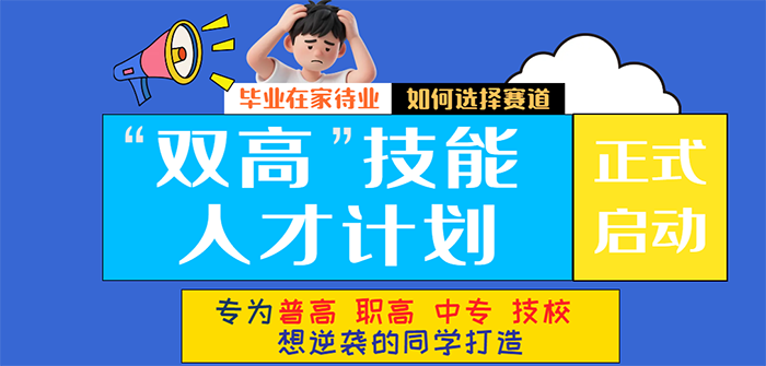 �»����Խ�����˫�ߡ������˲żƻ���ʽ����