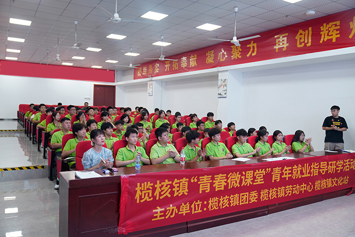 �ഺ΢����ְҵ��չ�滮ָ��