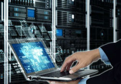 �칫������ѵ��