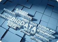 �칫�Զ���