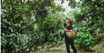 ���������ֱ����Ӫ-�����»��������Ƽ�ѧУ